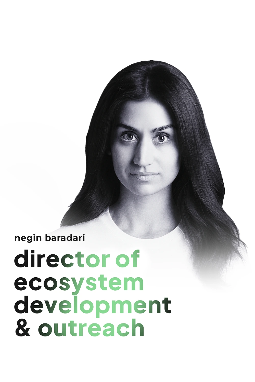 Negin Baradari